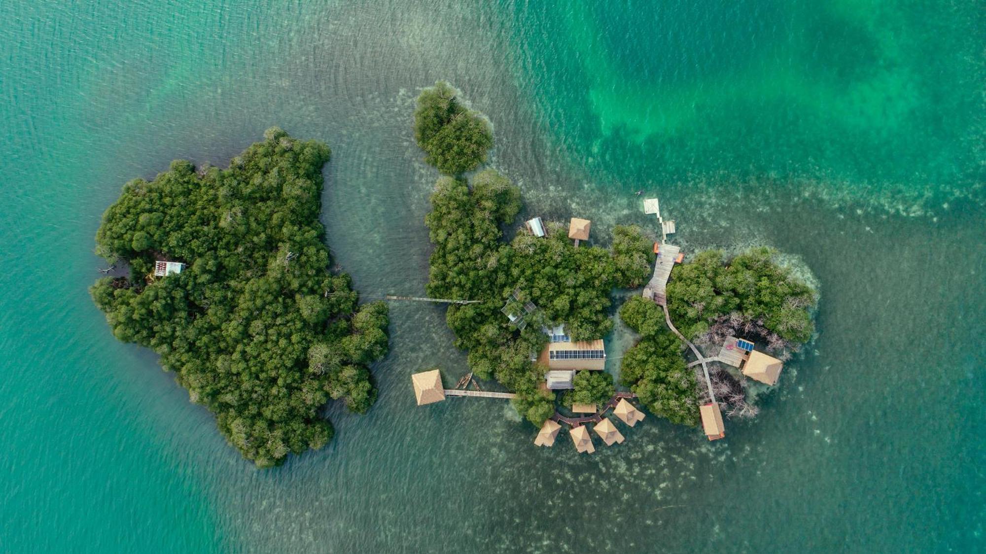 Urraca Monkey Island Eco Resort (Adults Only) Punta Laurel Exterior photo