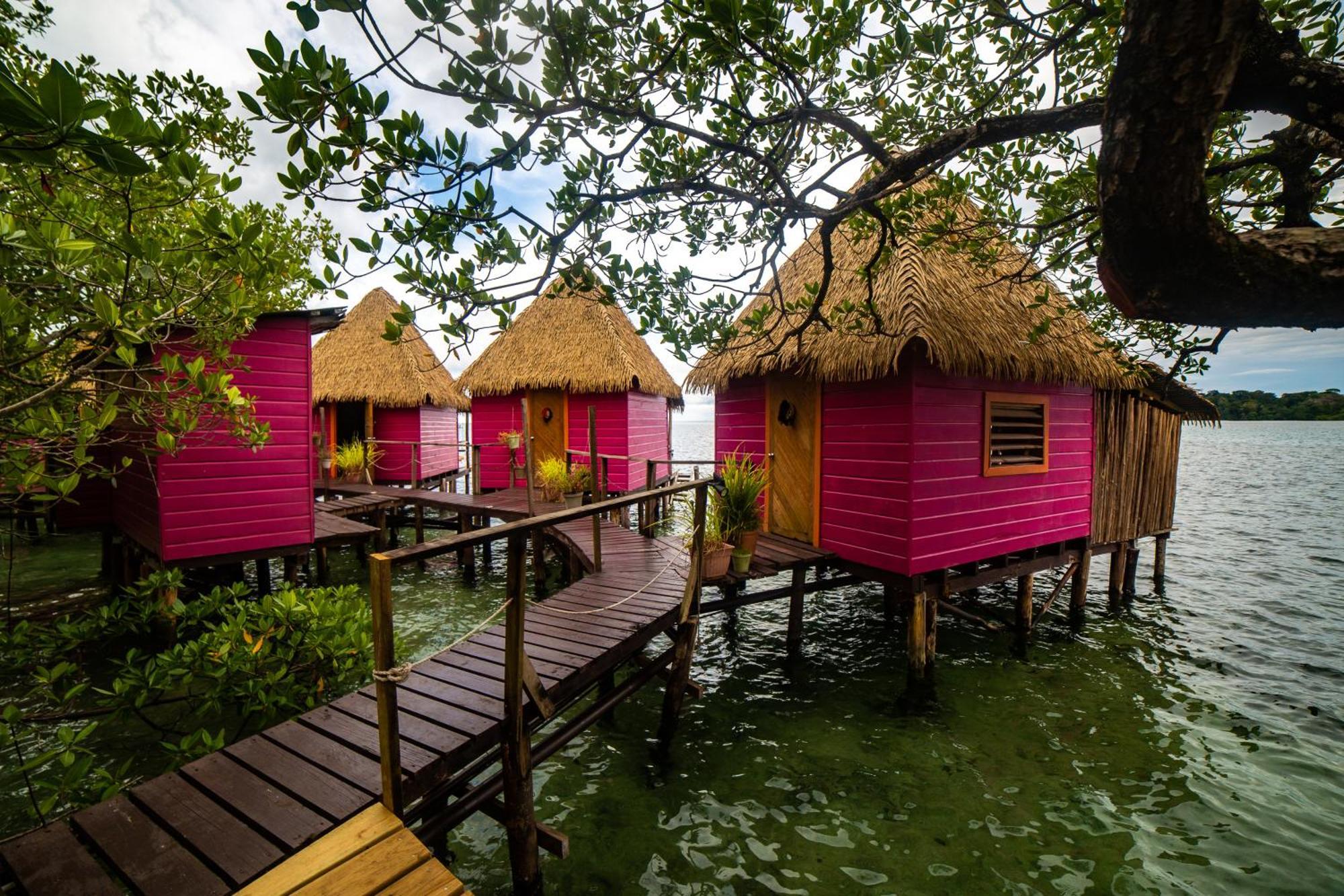 Urraca Monkey Island Eco Resort (Adults Only) Punta Laurel Exterior photo