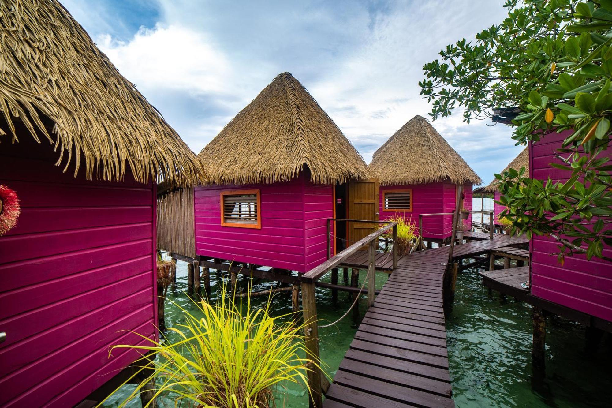 Urraca Monkey Island Eco Resort (Adults Only) Punta Laurel Exterior photo