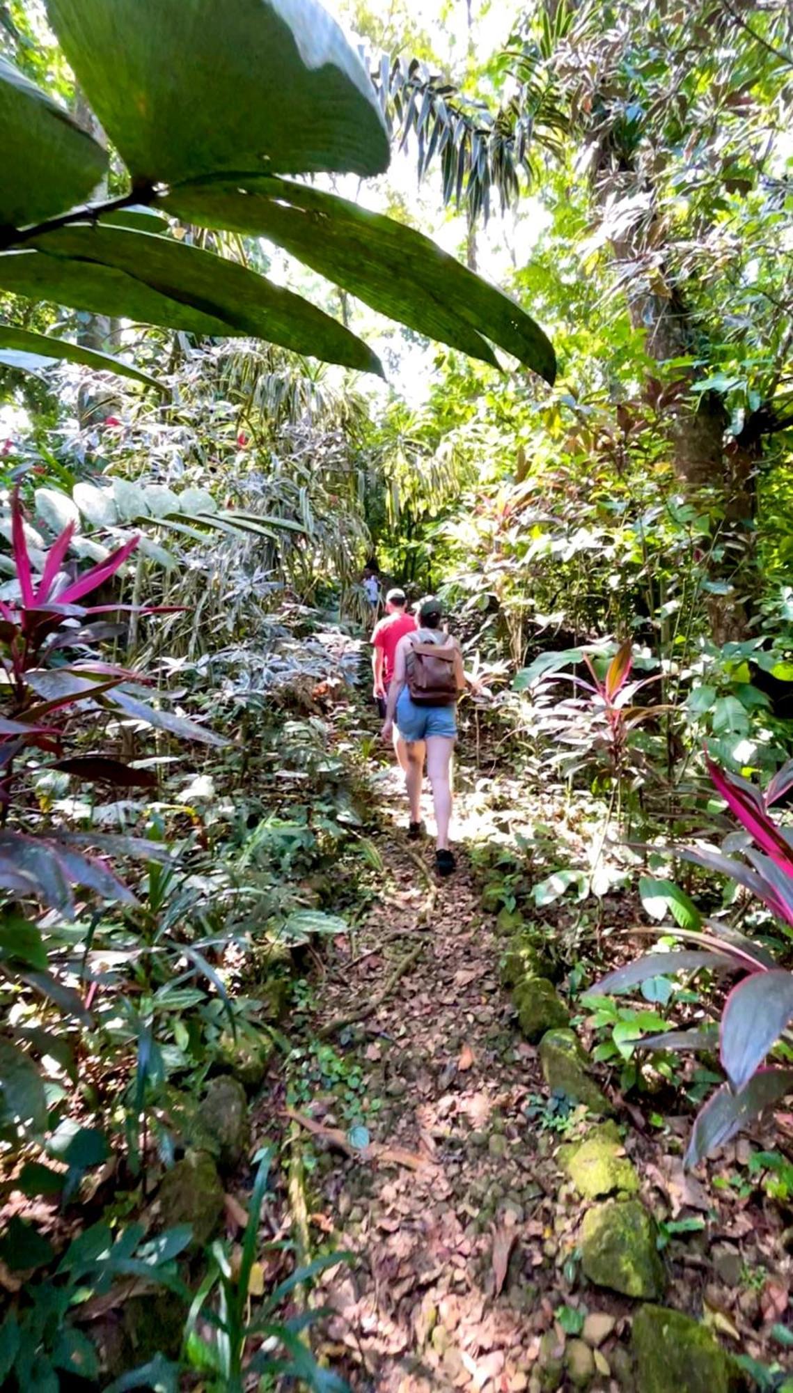 Urraca Monkey Island Eco Resort (Adults Only) Punta Laurel Exterior photo